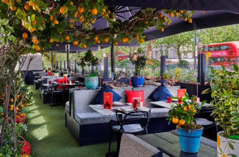Experience Italian Elegance at Theo’s on the Terrace